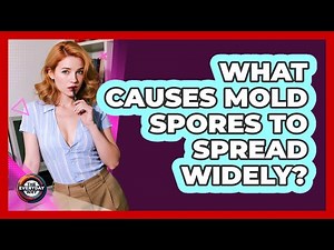 What Causes Mold Spores To Spread Widely?