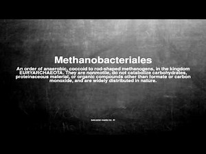 Methanobacteriales - Alchetron, The Free Social Encyclopedia