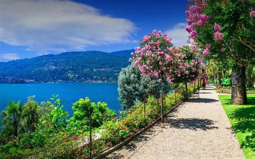 Lemon Tree(林俊杰 梦想的声音 原版 伴奏)