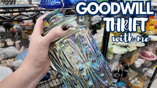 Spotted at the last minute at Goodwill thrift adventure