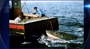 ‘Jaws’ turns 50. It changed pop culture and our perception of sharks - WSVN 7News | Miami News, Weather, Sports | Fort Lauderdale