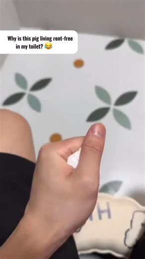 adollshome_3.0 | 🐷🚽 Meet the funniest bathroom buddy ever — the Pooping Pig! Cute, weird, and guaranteed to make your guests laugh every time they see it.... | Instagram