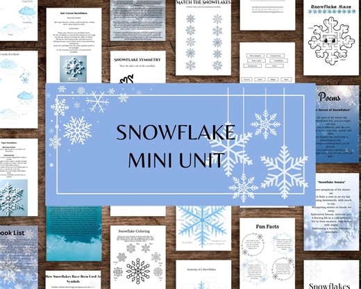 Snowflake Mini Unit Study: Winter Kids Activities (printable) - Etsy