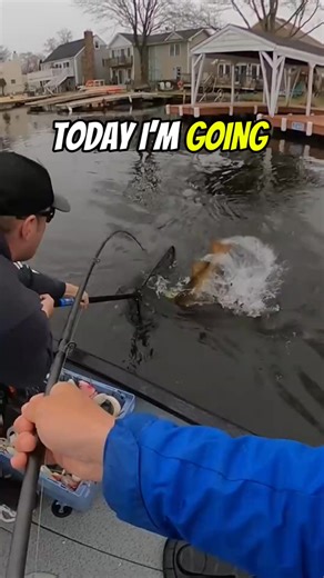 1K views | This GIANT Musky almost didn’t happen  #foryou #fyp #fishtok #fishing | Seahorse Farm | Facebook