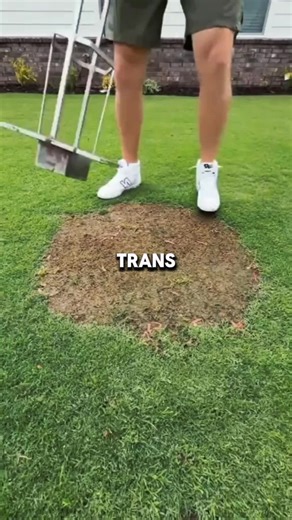 Olas just wandeing off at Disneyland Paris at the New World of Frozen coming next March! Beyond cute #ask #askreddit #LearnOnTikTok #reddit#satisfying