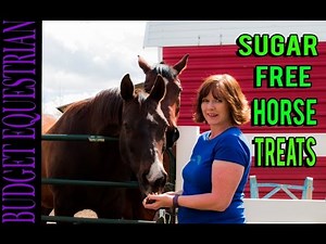 DIY Horse Treats Sugar Free! Easiest Recipe Ever!