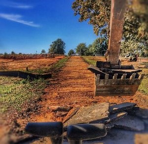 Divisions and Services