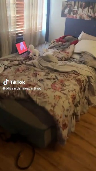 Softball go whoosh #tbh #tbhcreature #tbhplush #tbhplushie #tbhcreatureplush