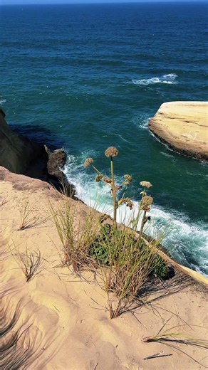 Oregon Coast hikes: best PNW spots to wander the shoreline