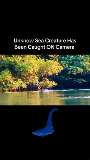 Will you follow The Ranger of the North on Instagram: "A unknown sea creature has been caught on camera."