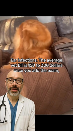 3.7K views · 21 reactions | Stop wasting money on avoidable vet visits — tiny daily fixes save hundreds. Your dog’s health (and your wallet) will feel the difference. You can find Taily collagen here https://amzn.to/3UMwn7c #DogHealthTips #VetApproved #DogWellness #PetCareHacks #HealthyDogs | Curapelos | Facebook