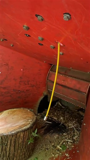 Shredding some logs | Jacob Rogers