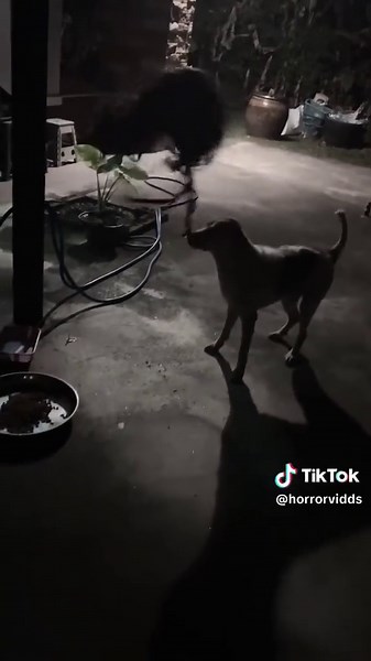 Thailand Jinn Krasue Sighting: Creepy Horror Video Footage