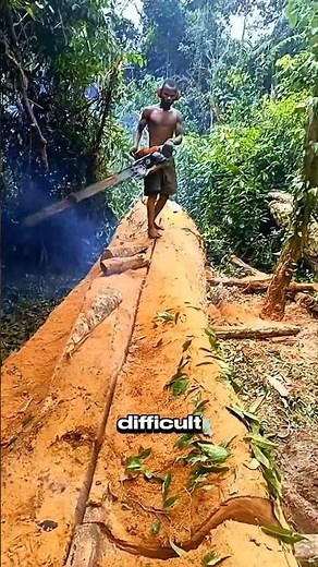 smart way to separate split wood #logging #sawblade #chainsaw #treecutting