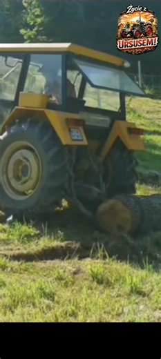 Ursus seems to have made it... #ursus the film was made in cooperation with Dawid Słowik/TT