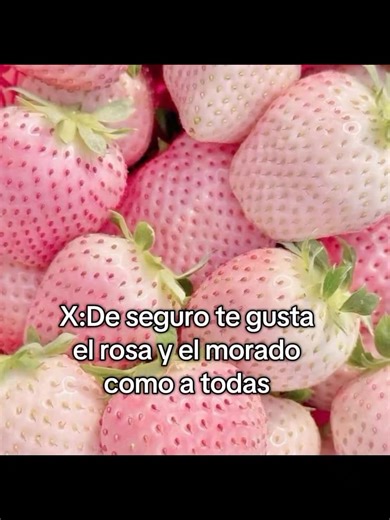 Descubre tu color favorito: Rosa y Morado