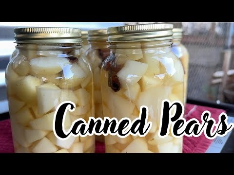 Canned pears- our first of many pear canning