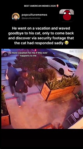 Heartbreaking security footage shows cat's sad reaction to owner's vacation goodbye 💔 #catsoftiktok