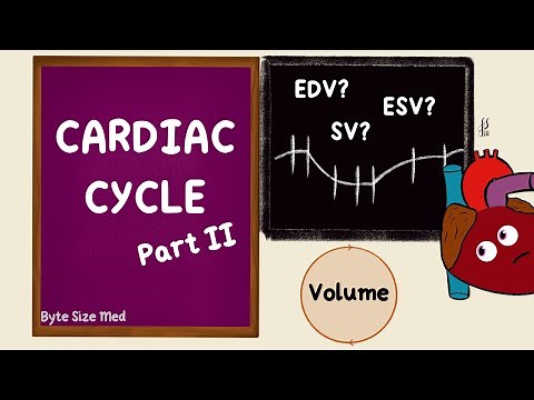 Cardiac Cycle | Volume | Part 2 | Cardiac Physiology