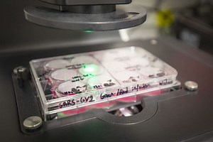 Inside a lab studying viruses such as Covid-19 as part of global research effort