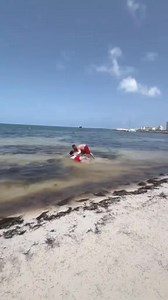 17K views · 138 reactions | Cute photo fail.. lol Credit video to Julia | Hmong Talk | Facebook