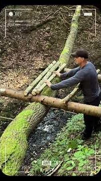Building a Wooden Survival Hut in the Forest 🪵🔥 Bushcraft Shelter