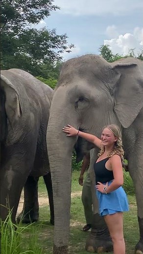 Asian Elephant Conservation _ Elephant Protection | A Story of Hope and Redemption