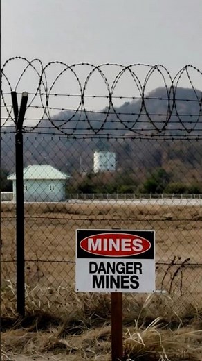 The Korean DMZ: World’s Deadliest Border? 😱”