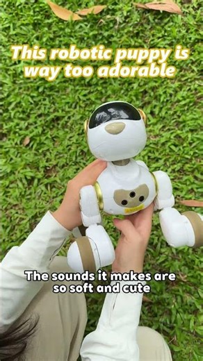 No mess, no shedding. Just wave your hand,and it dances for you 💃🐾#ruko #robotdog #foryou