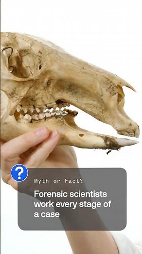 Forensic scientists aren't detectives – here's why 🕵 #uts #forensicscience #crimesceneinvestigation