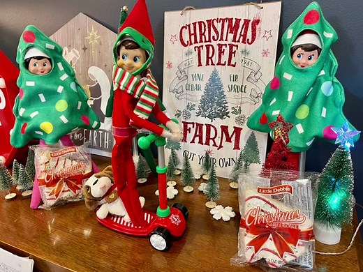 familyelfideas on TikTok