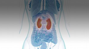Understanding Dapagliflozin: Examining Its Use in Chronic Kidney Disease
