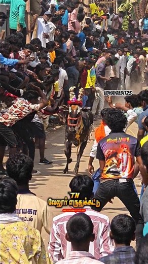 💥Poigai ramapuram#vellore #slowmotion #videoediting #videoeffect #erudhukattu