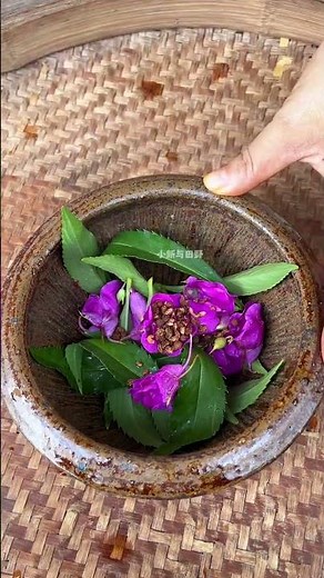 Unveiling the Enchanting Impatiens Balsamina: The Nail Flower Mystery