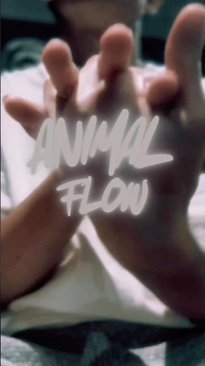 「動きが変わると、身体はもっと自由になる」名古屋市東区で体験できる【ANIMAL FLOW】まずはトライアルから#名古屋市東区 #アニマルフロー #ピラティス名古屋 #筋トレ女子 #名古屋フィットネス