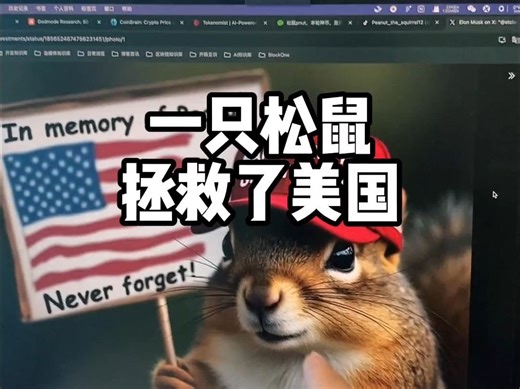 松鼠Pnut为什么爆火？