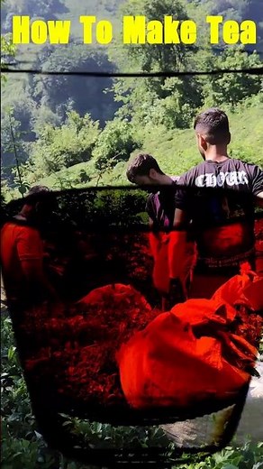 Black Tea Recipe | How to Make Perfect Black Tea | Traditional Tea Making Documentary#blacktea