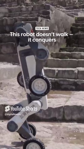 This robot moves in an impressive and unique way