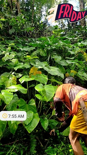 Archie Vlog on Reels