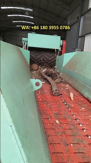 Drum chipper, wood chipper, real-life demonstration of biomass wood chip production.
