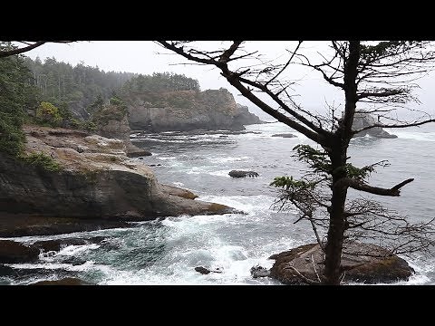My Favorite Places - Neah Bay