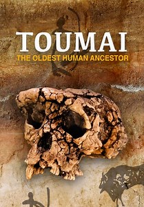 Toumai: The Oldest Human Ancestor (2006)