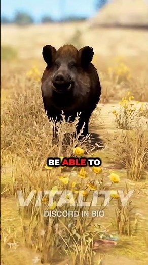 MOST CUSTOMIZABLE SERVER in RUST! ⚙️ #rusttok #rustupdate #rustclips