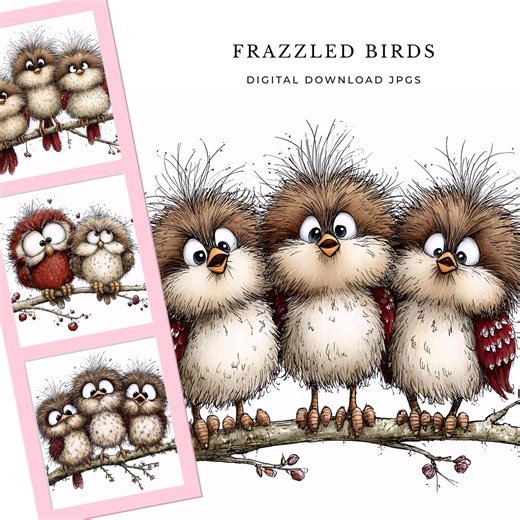 11 Quirky Birds Clipart Bundle, Frazzled Birds Watercolor Illustrations for Scrapbooking, Junk Journals, Paper Crafts, Digital Download Jpgs - Etsy