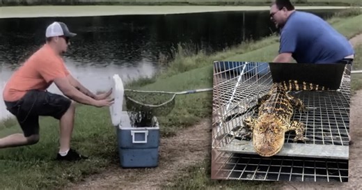 'It was an intense moment': Stanton man reels in alligator he spotted in pond