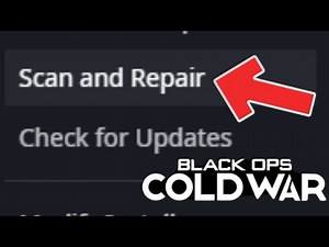 BLACK OPS: COLD WAR - HOW TO SCAN AND REPAIR!