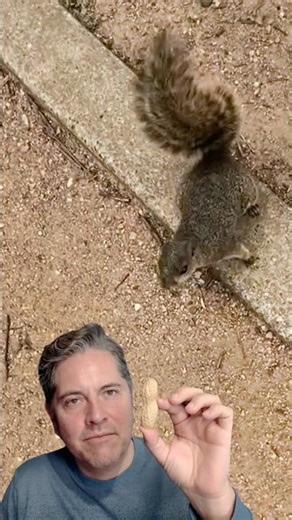 What would you do if a #squirrel bit you? - Medical Tourism