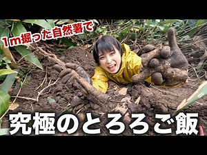 掘り起こした自然薯のとろろご飯が絶品
