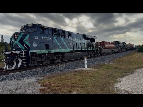 FEC TRAIN 202 @ 8:14am 11-7-25