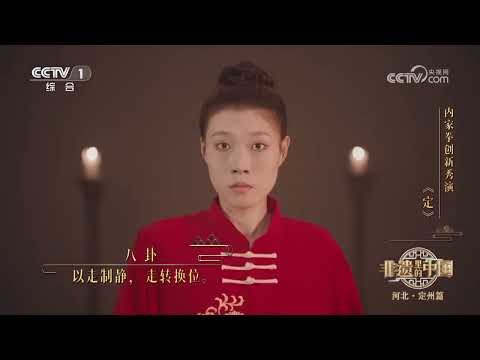 [非遗里的中国第四季]内家拳创新秀演《定》 | CCTV